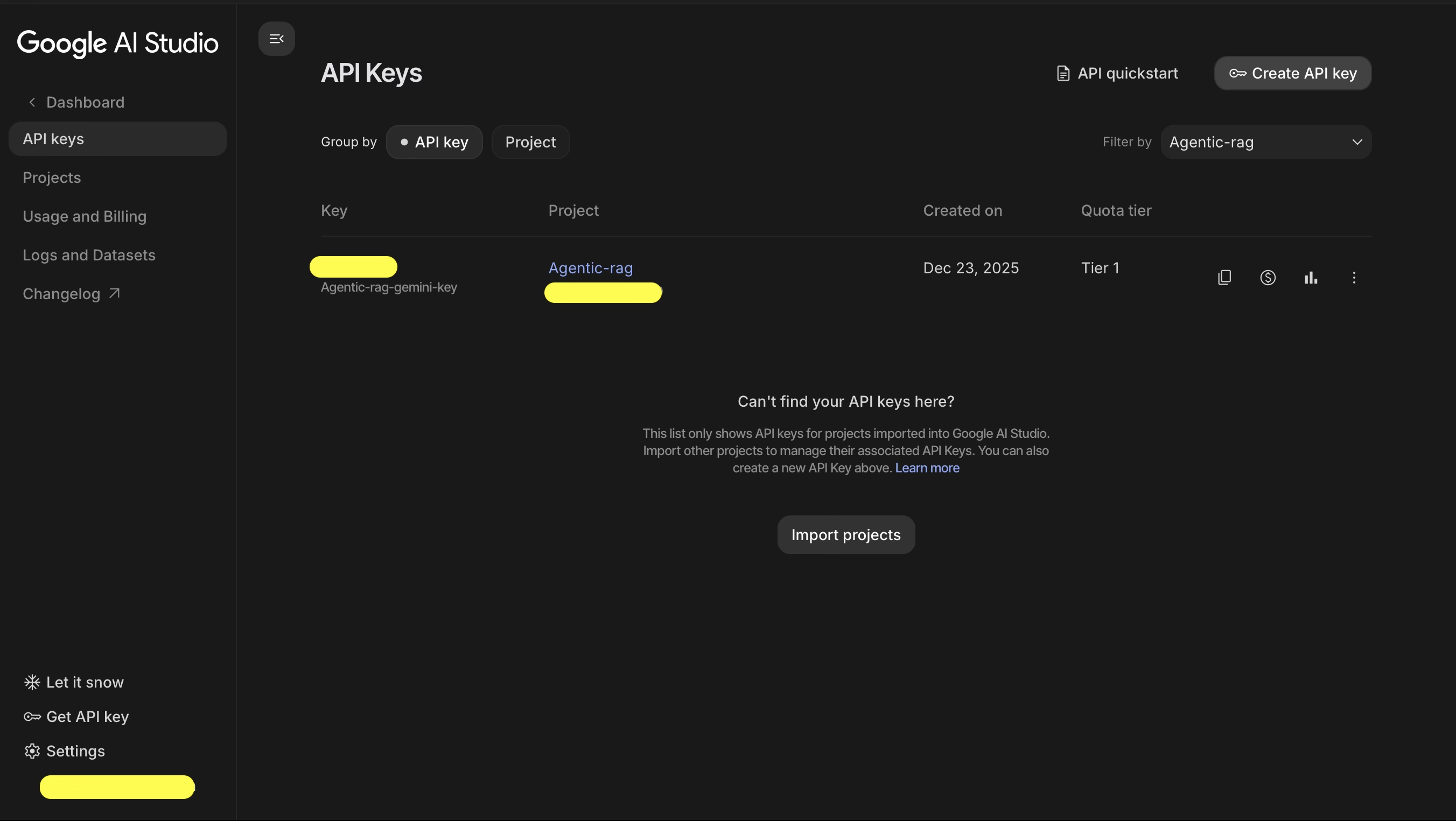 Generating Google Gemini Project